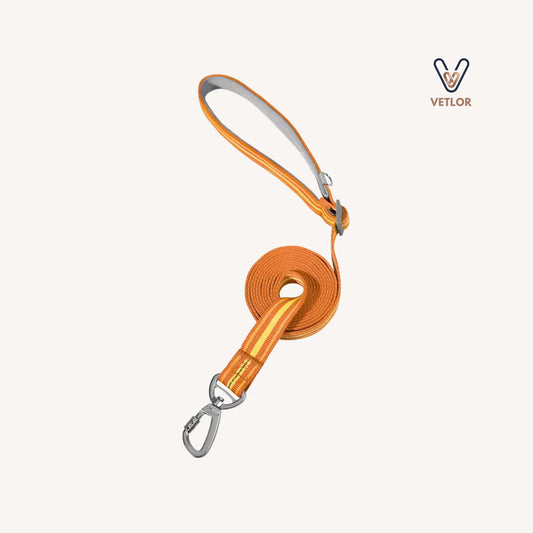 Vetlor CoreFit Matching Leash